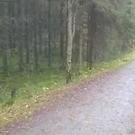 Uusikuu ميكيلي
