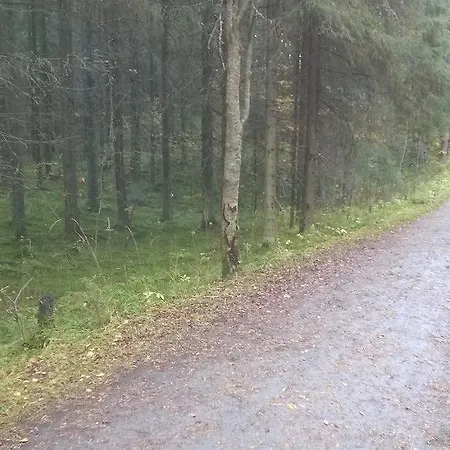 Uusikuu Mikkeli